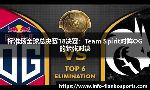 标准场全球总决赛18决赛:Team Spirit对阵OG的紧张对决