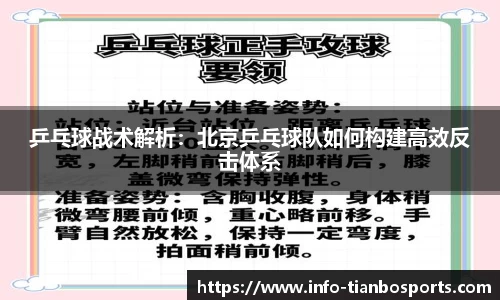 乒乓球战术解析:北京乒乓球队如何构建高效反击体系