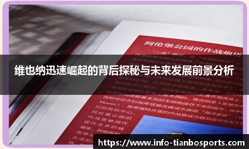 维也纳迅速崛起的背后探秘与未来发展前景分析